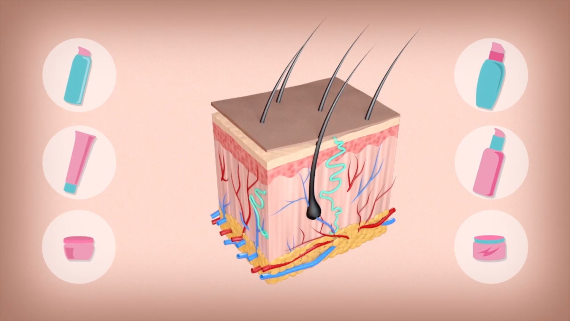 Animation for Biotex, medical visualisation, 3d, srushti